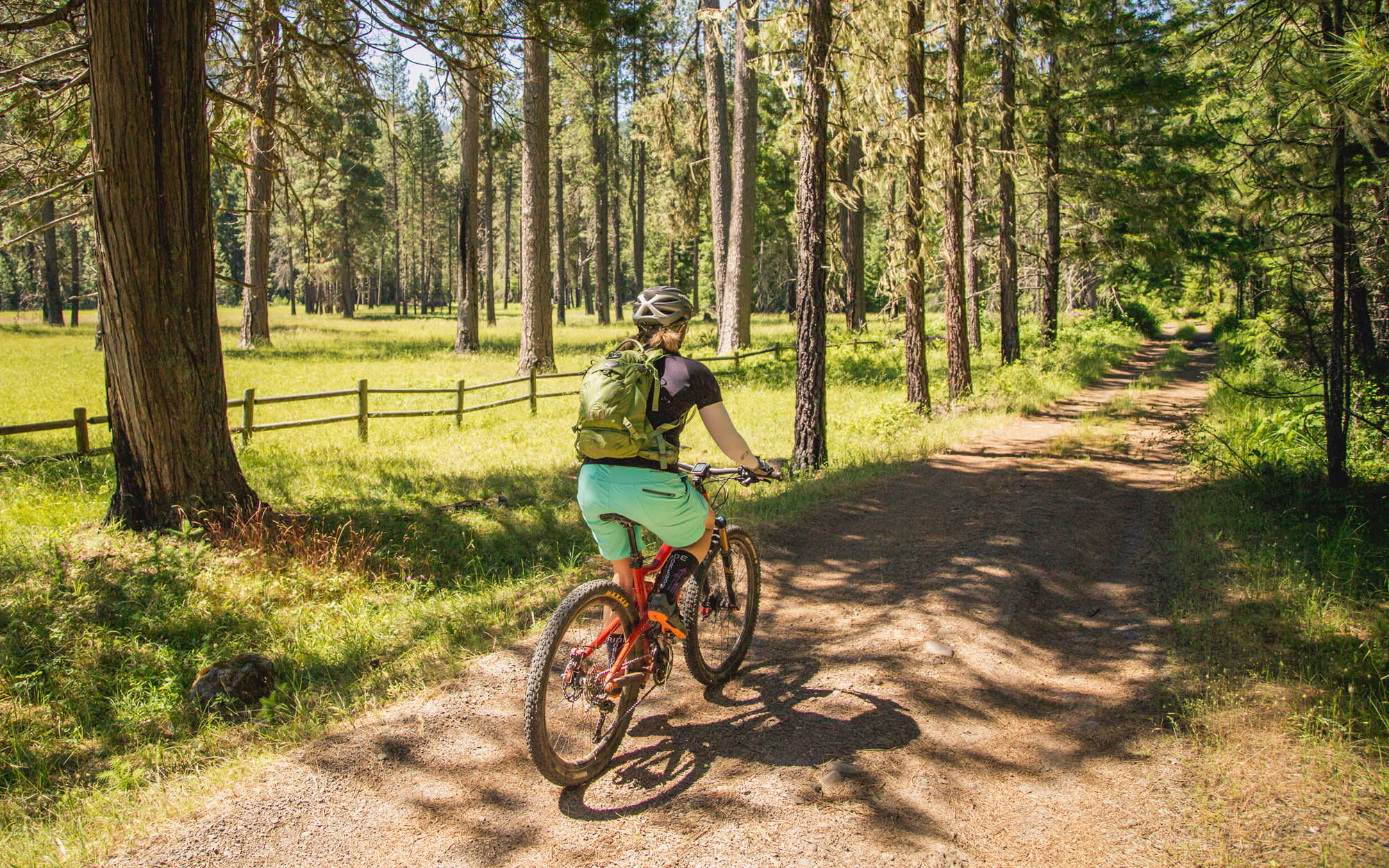 A mountain biker takes a well-marked path next to a fenced meadow.