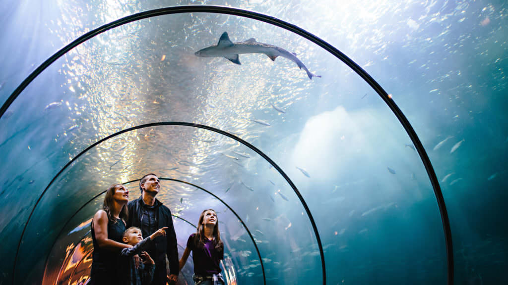 3 Days in Newport Travel Oregon