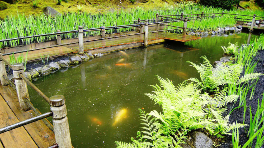 Atracciones favoritas en Portland para familias - Travel Oregon