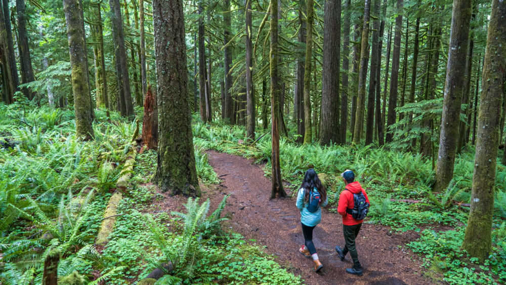 Nature-Based Wellness in Oregon - Travel Oregon