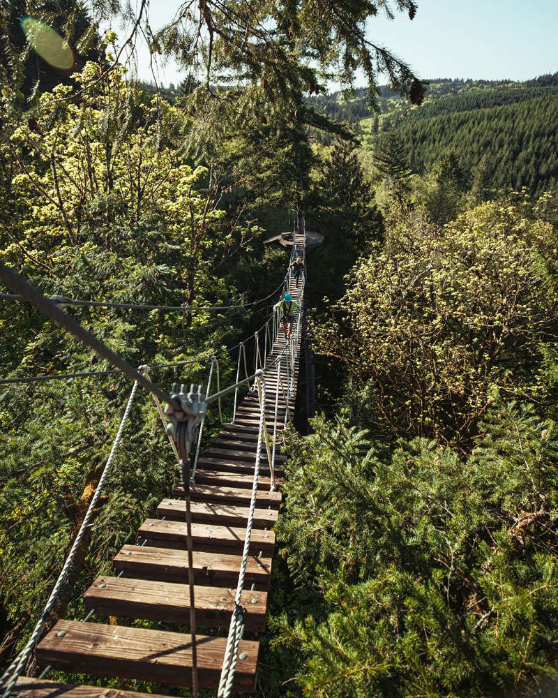 An aerial course in the treetops features a wooden bridge with views of the valley.