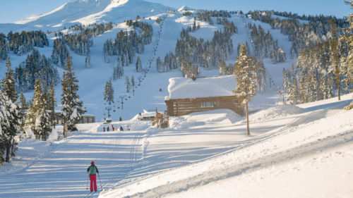Nordic skiing at Mt. Bachelor (Photo by: Nate Wyeth)