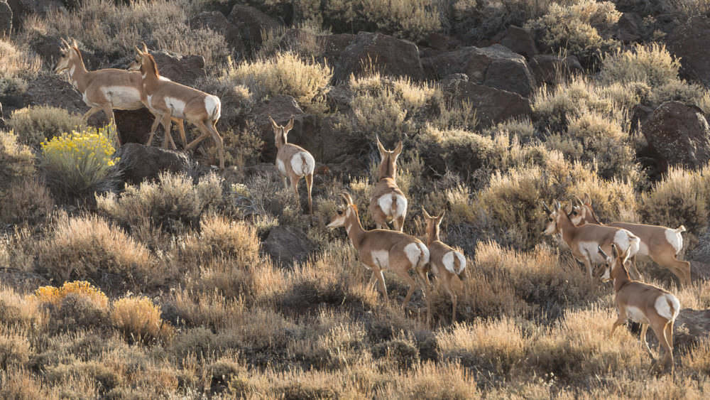 Meet ’n’ Greet Oregon’s Greatest Athlete Travel Oregon