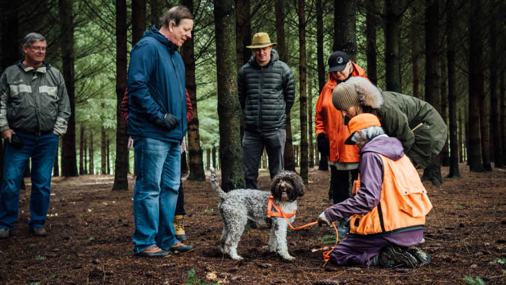 FoodLover’s Trip Through the Willamette Valley Travel Oregon