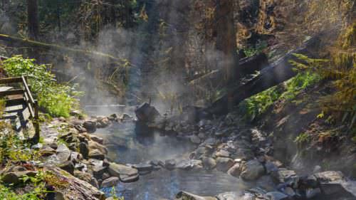 Aguas termales Terwilliger Hot Springs es un tranquilo refugio en el bosque nacional Willamette National Forest.  📷: Melanie Griffin / EugeneCascadesCoast.org