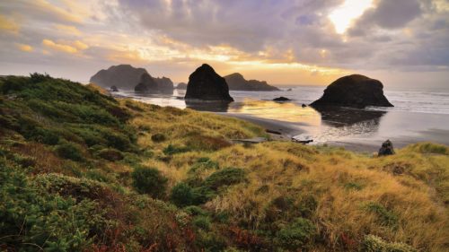 Rock formations stand in the ocean, reflecting the golden hues of sunset. The scene is framed by lush green coastal vegetation and a cloudy, vibrant sky.