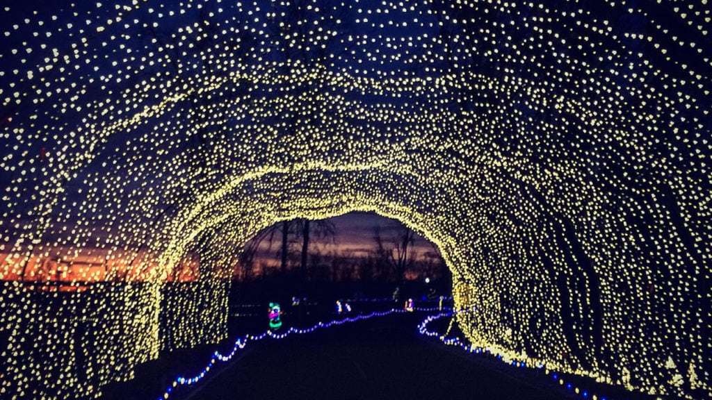 Oregon’s Top Bike Rides Travel Oregon