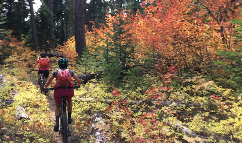 Two cyclists riding a mountain bike trail in Fall