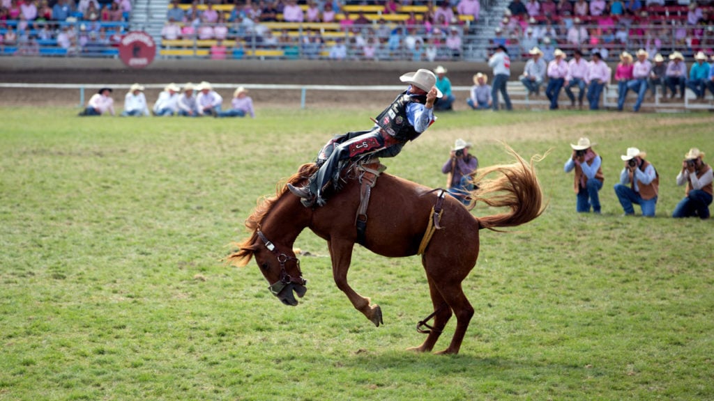 Eastern Oregon’s Top Festivals Travel Oregon