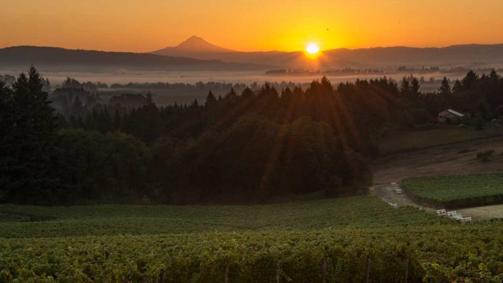 Reward Yourself with Oregon Vine Perks Travel Oregon
