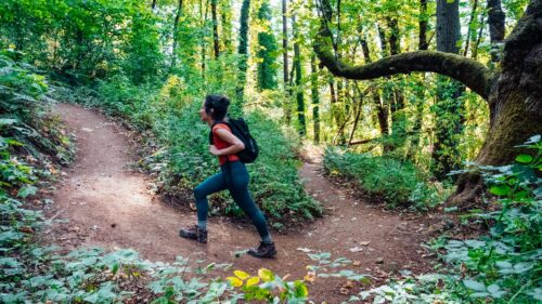 A person wearing a backpack hikes up a dirt trail in a lush, green forest with dense foliage and tall trees, creating a tranquil natural setting.