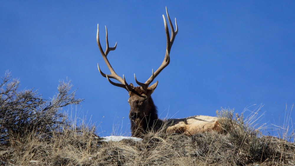 Celebrate Oregon's Indigenous Foods Travel Oregon