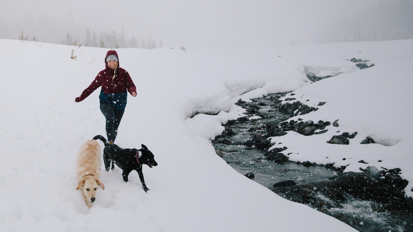 A person frolics through the snow with two dogs.