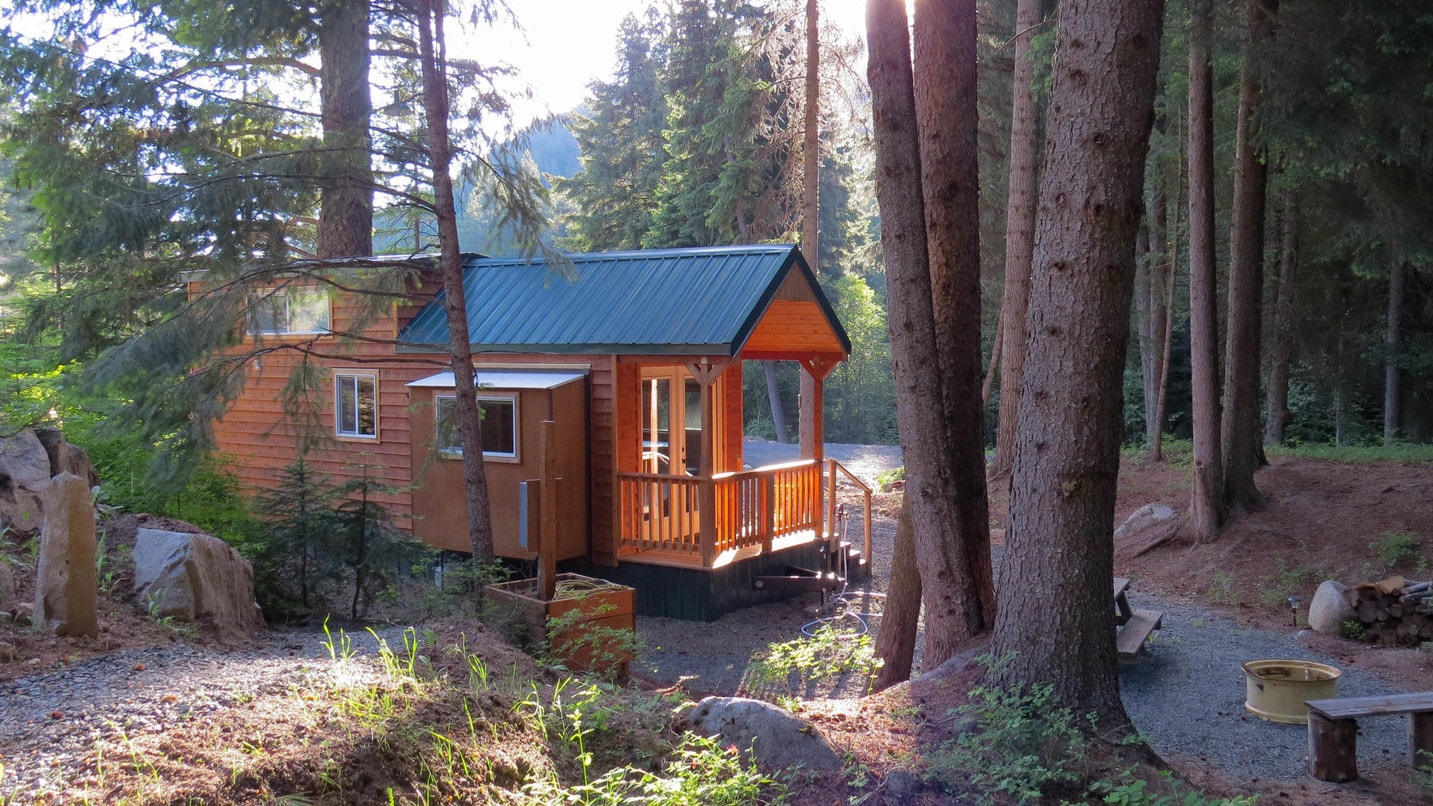 A modest cabin peeks from behind a tree.