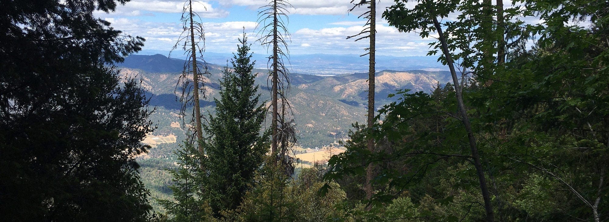 View through the trees at the top of a mountain