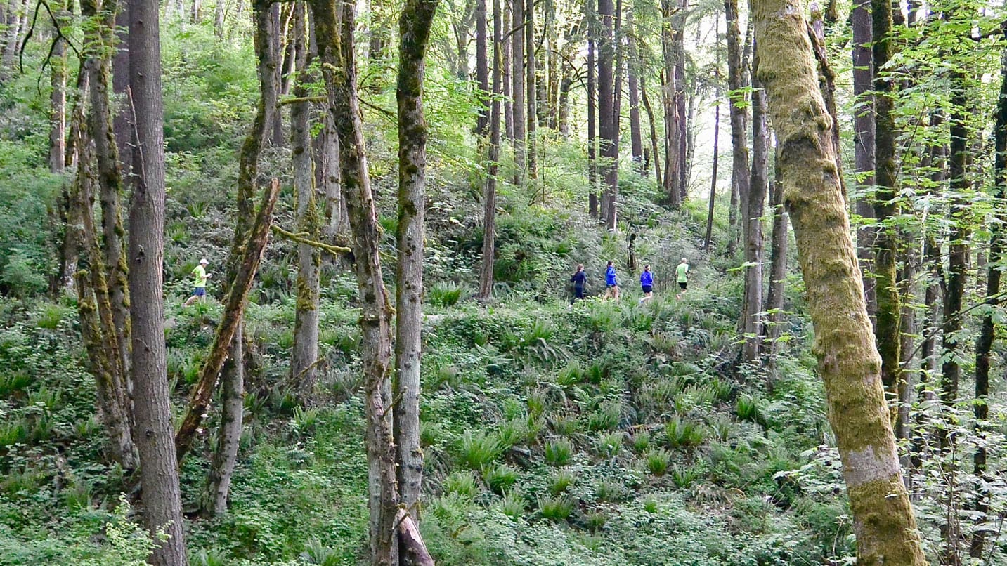A view through the trees of runners on a trail