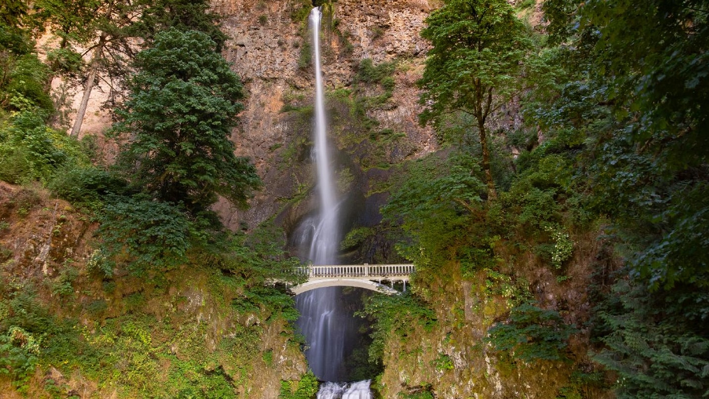 double-tiered waterfall with trees and pedestrian bridge