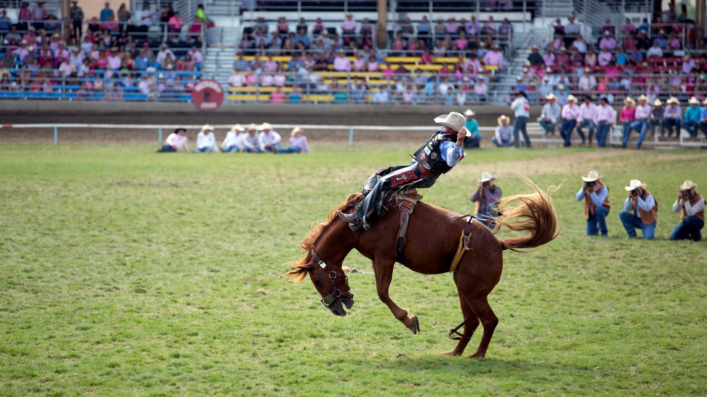 A bucking horse at a rodeo event