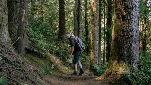 A man on a woodsy trail