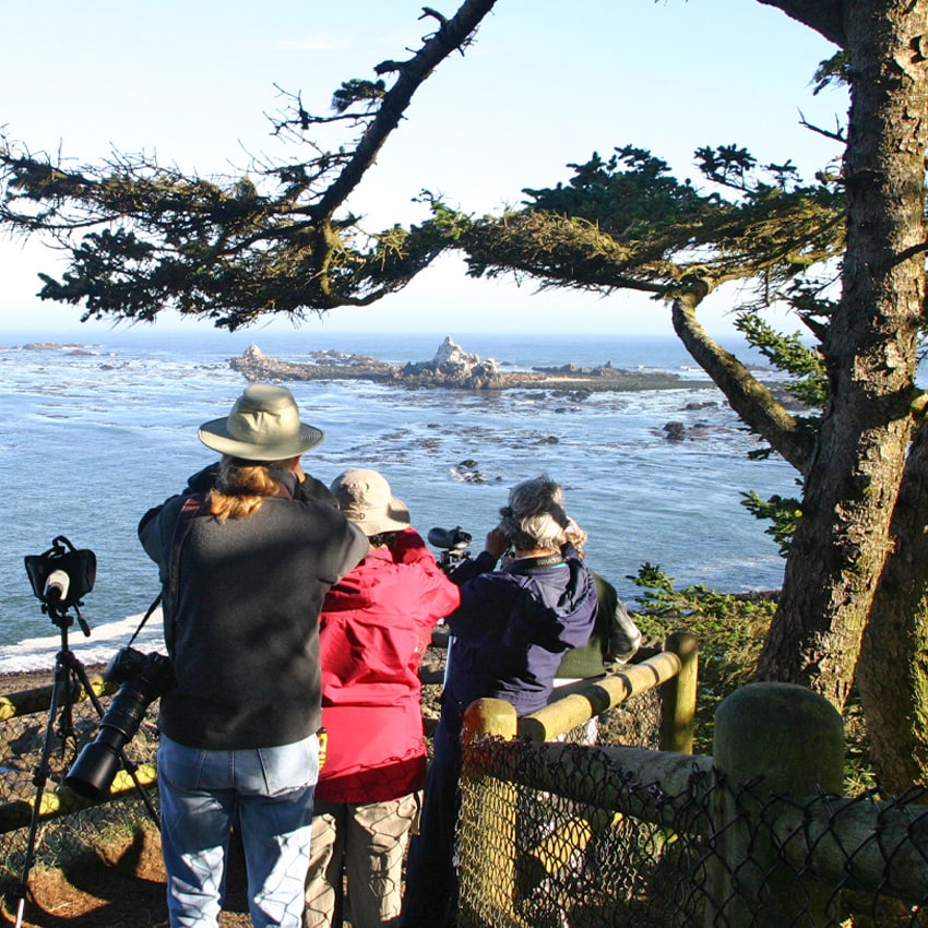 People look through binoculars at off-shore islands