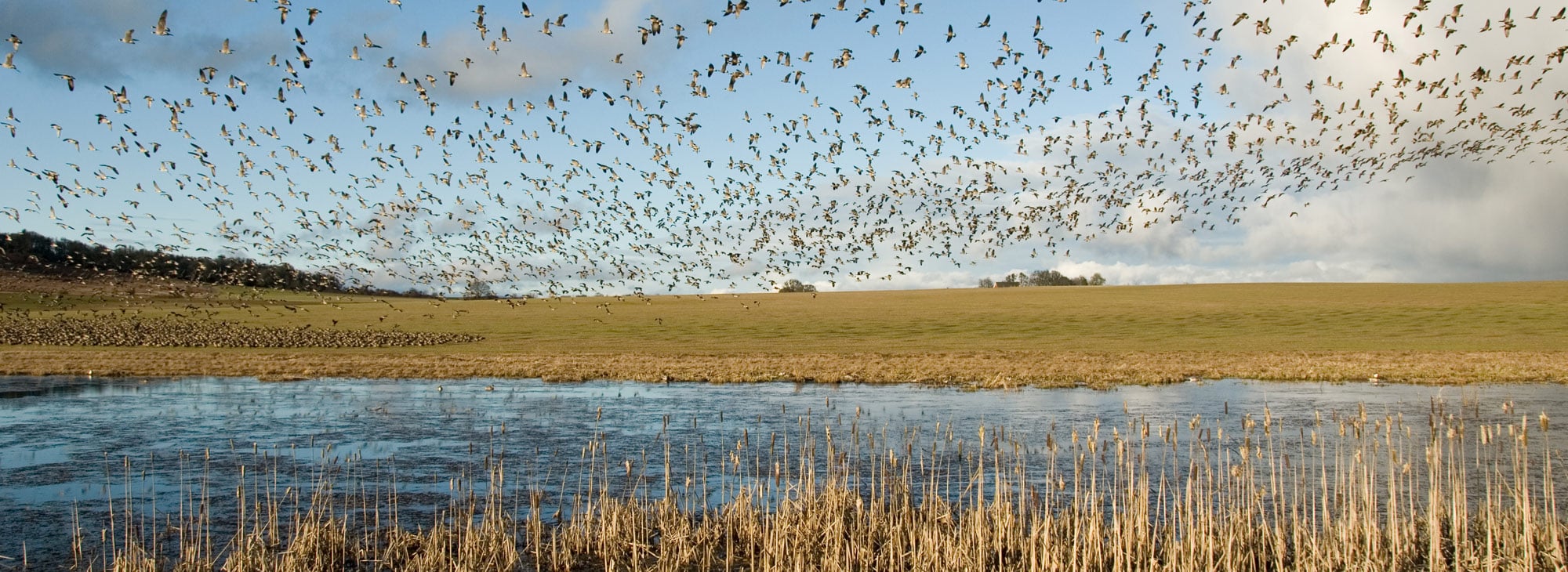 Experience the National Wildlife Refuges of Oregon - Vimarsana News