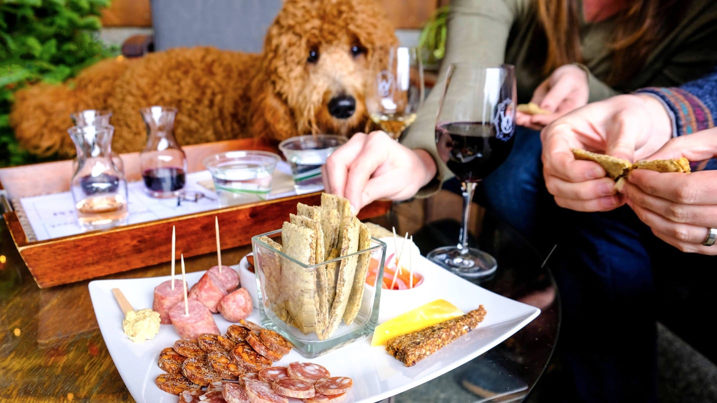 Evergreen Come Back With Wine And Dog Treats Indoor Outdoor