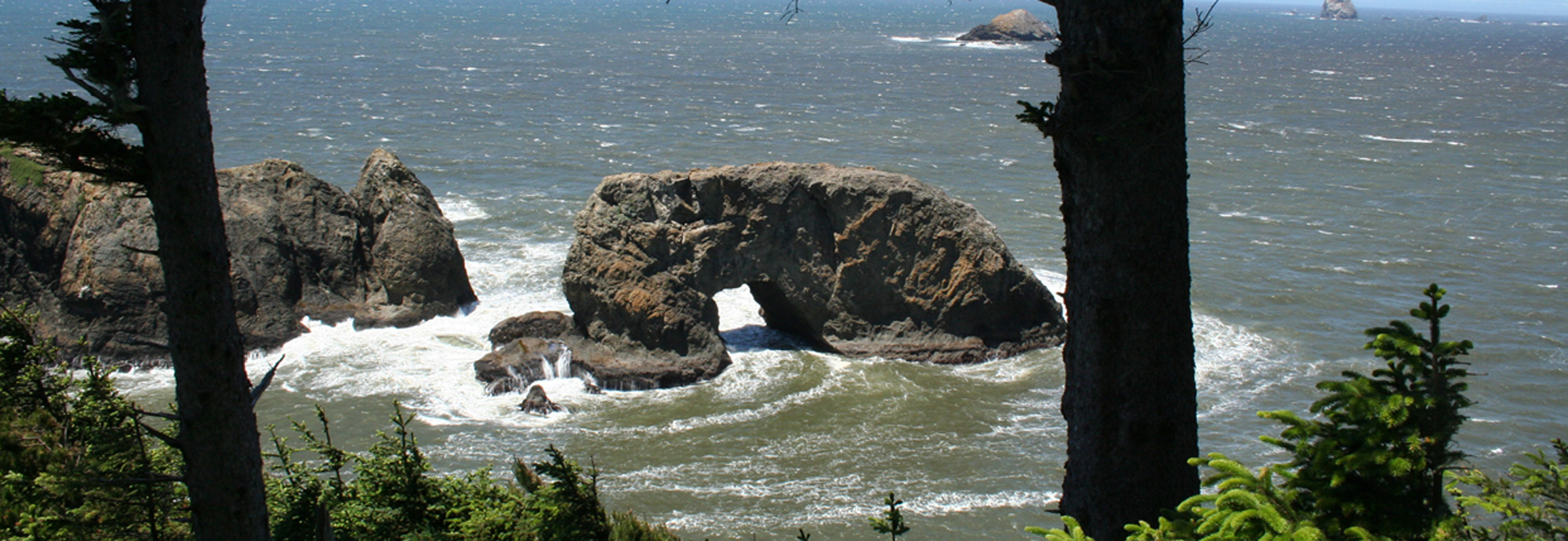 Brookings Welcome Center - Travel Oregon