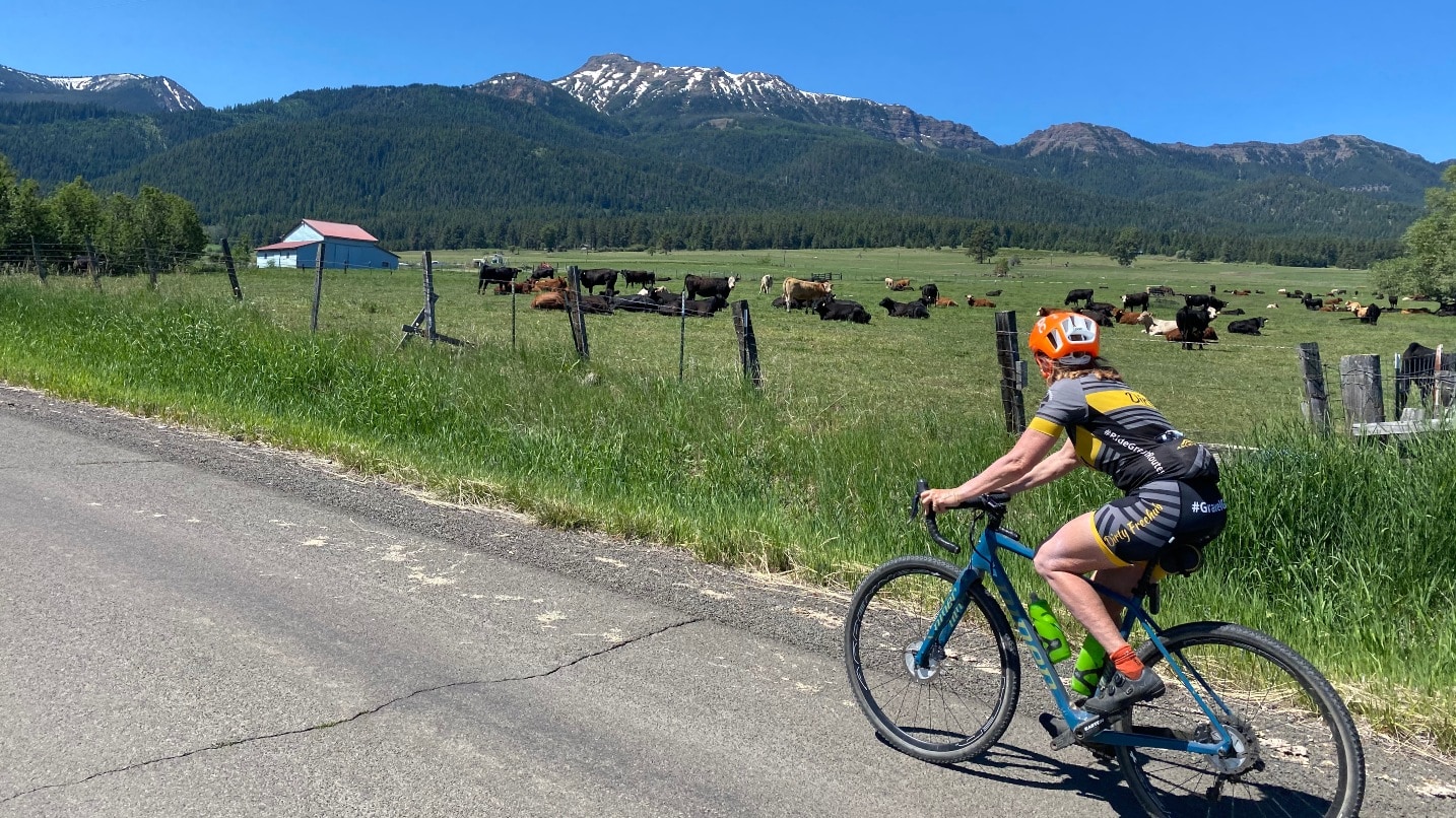 person cycles along field of cows and barn