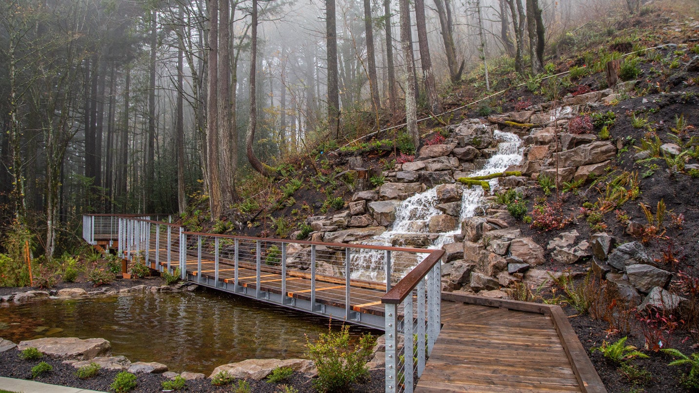 wooden boardwalk over stream with fog in woods
