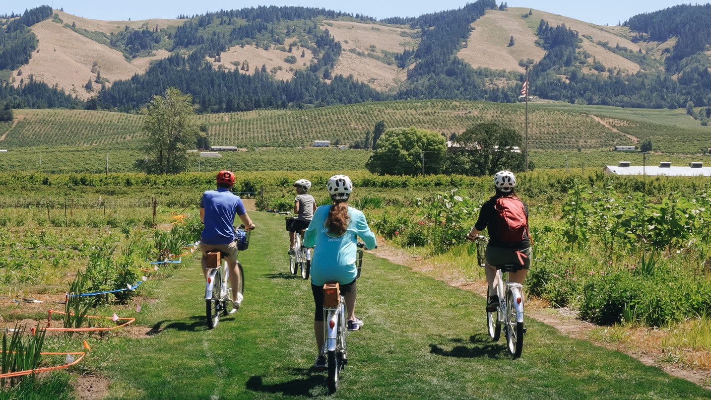 People ride bikes through vineyards with mountains in background