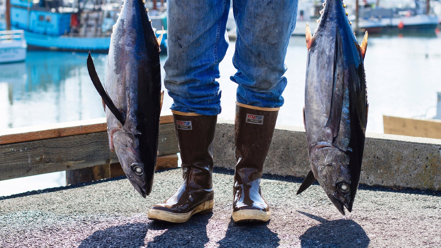 A person holds two tuna fish on a dock