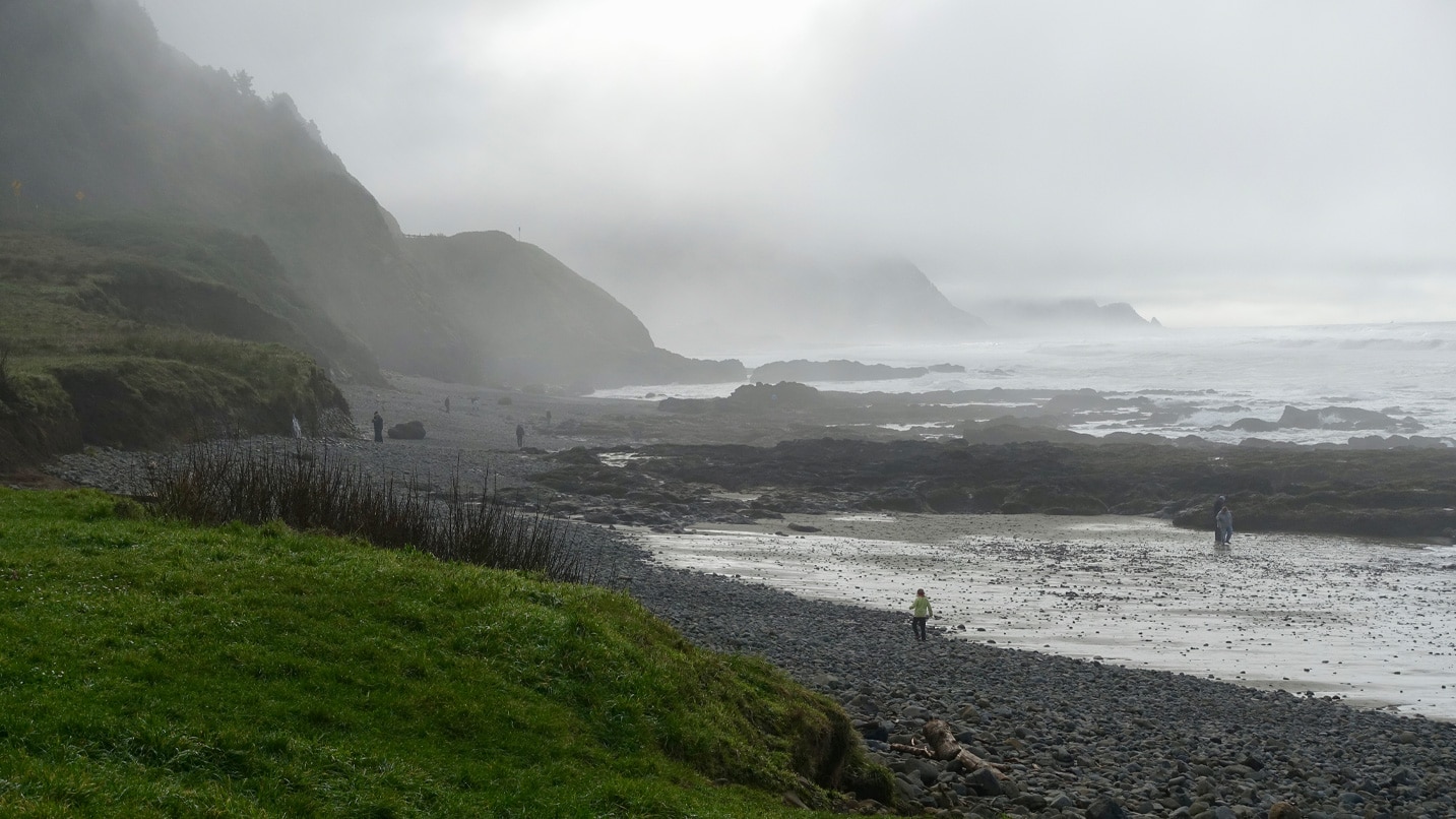 A foggy cliffside beach
