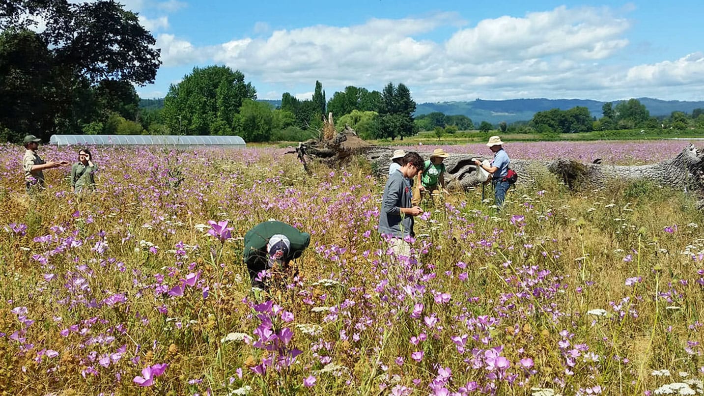 People in a field of wildflowers