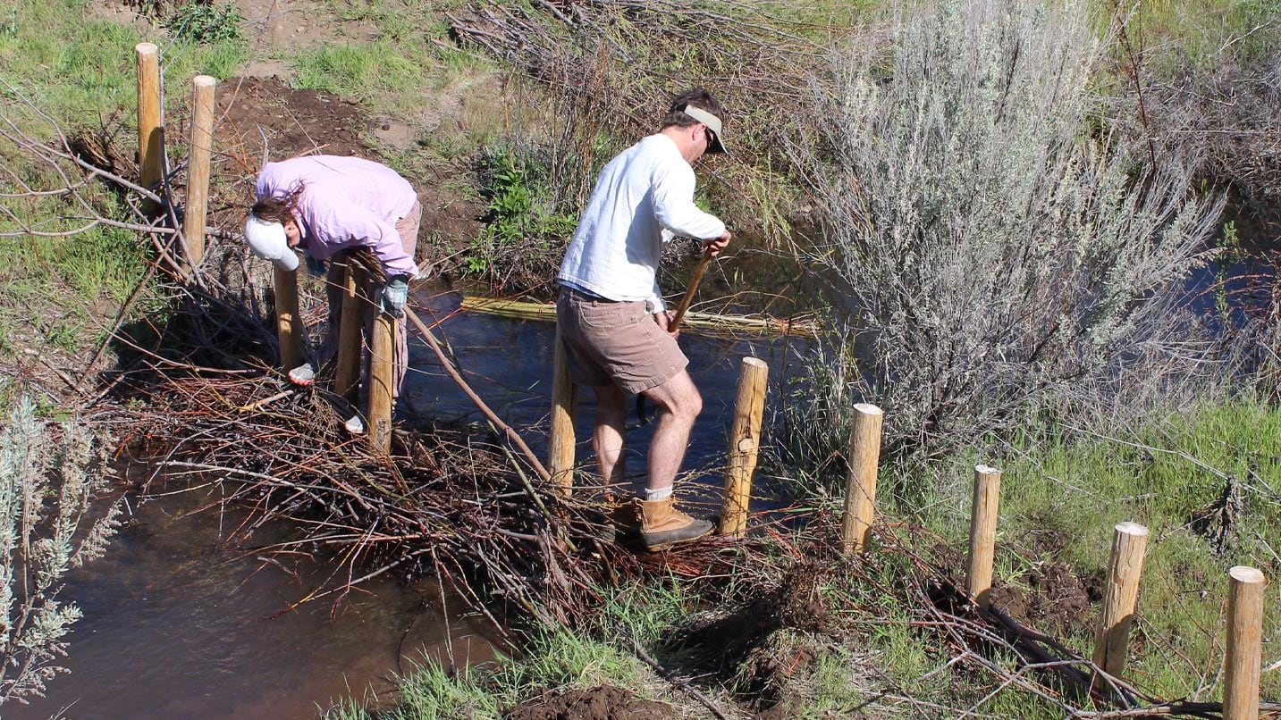 Two people stand in a creek putting in wood pillars