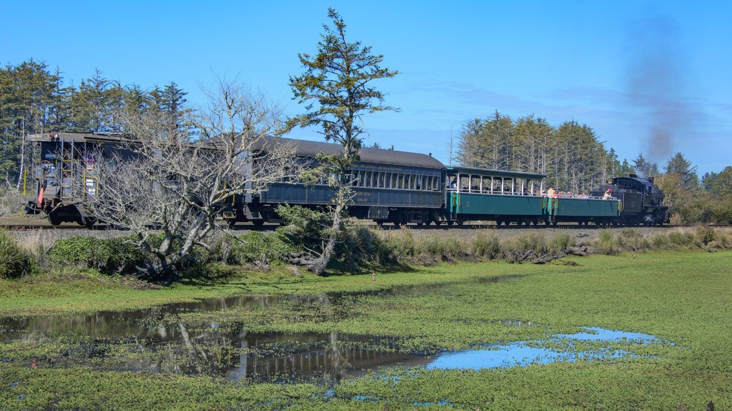 A train goes past a wetland
