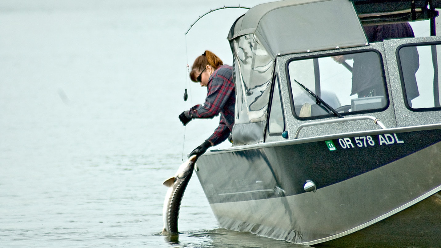 A person fishes from the side of a boat