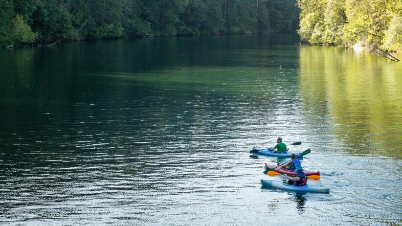 faraway shot of kayakers in water