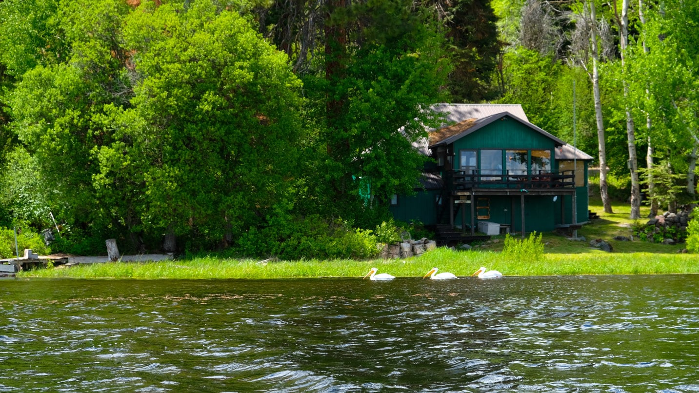 cabin in trees on edge of green lake
