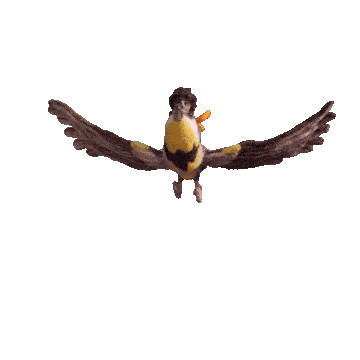 Animated gif of a person flying on top of a large bird.