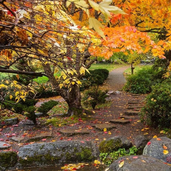 Stroll through Lithia Park in Ashland for fall foliage at its best. (Photo by Jak Wonderly / Travel Southern Oregon)
