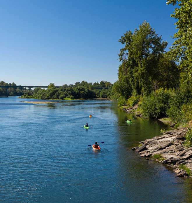 A group of kayakers on the Willamette River outside Corvallis.