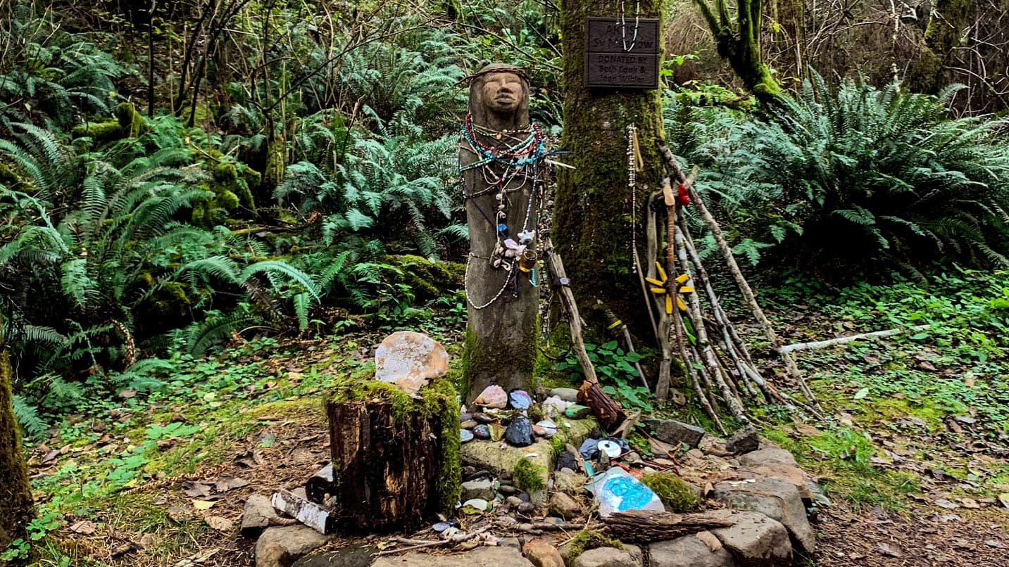 tree and tree stump with various colorful items placed at bottom