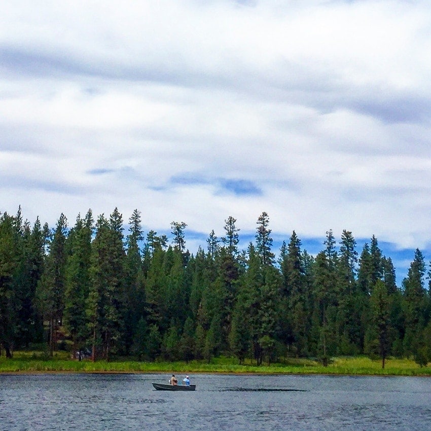People fishing in a boat on a lake surrounded by trees