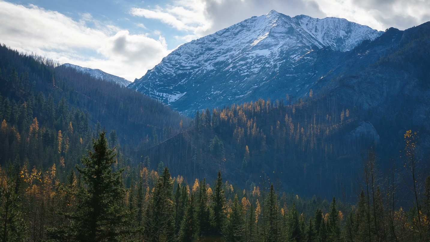 A snow capped mountain rises above autumn trees