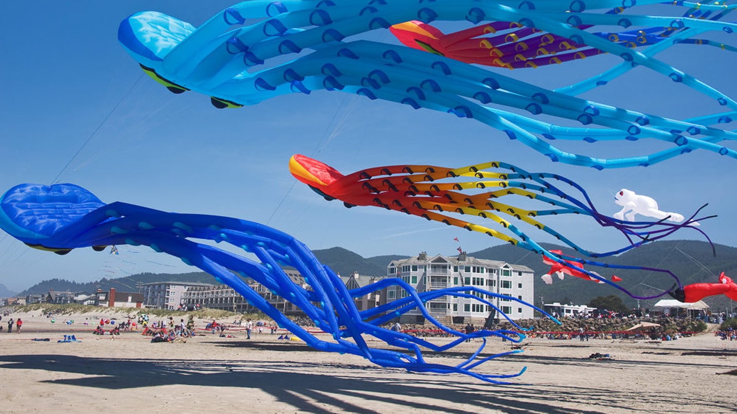 Colorful kites fly on a beach
