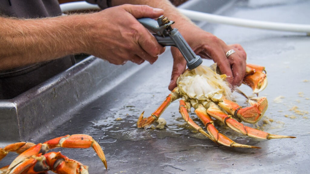 Crabbing for Beginners on the Oregon Coast Travel Oregon