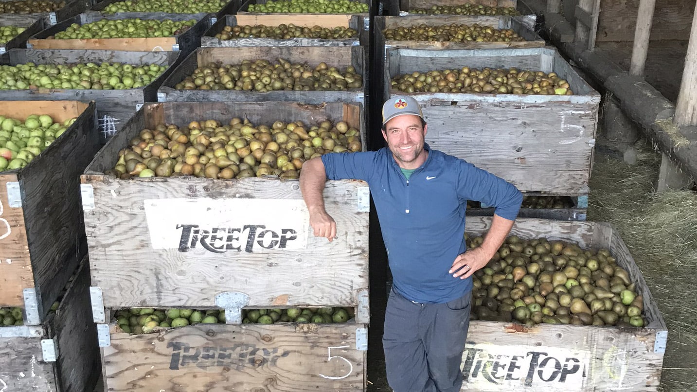Man in front of several crates filled with pears.