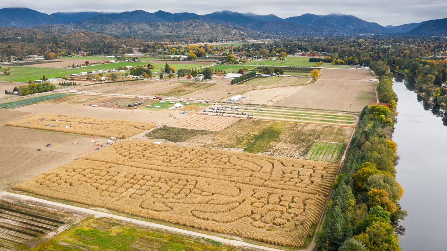 Aerial view of farm fields and corn maze patterned as a cob of corn.