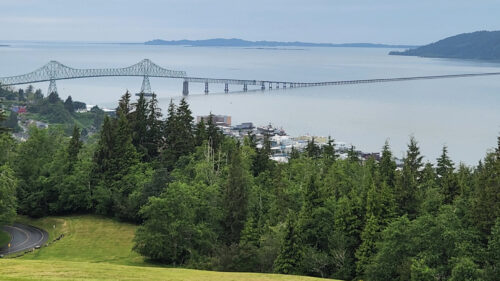 A landscape view of pines and the Astoria-Megler Bridge.