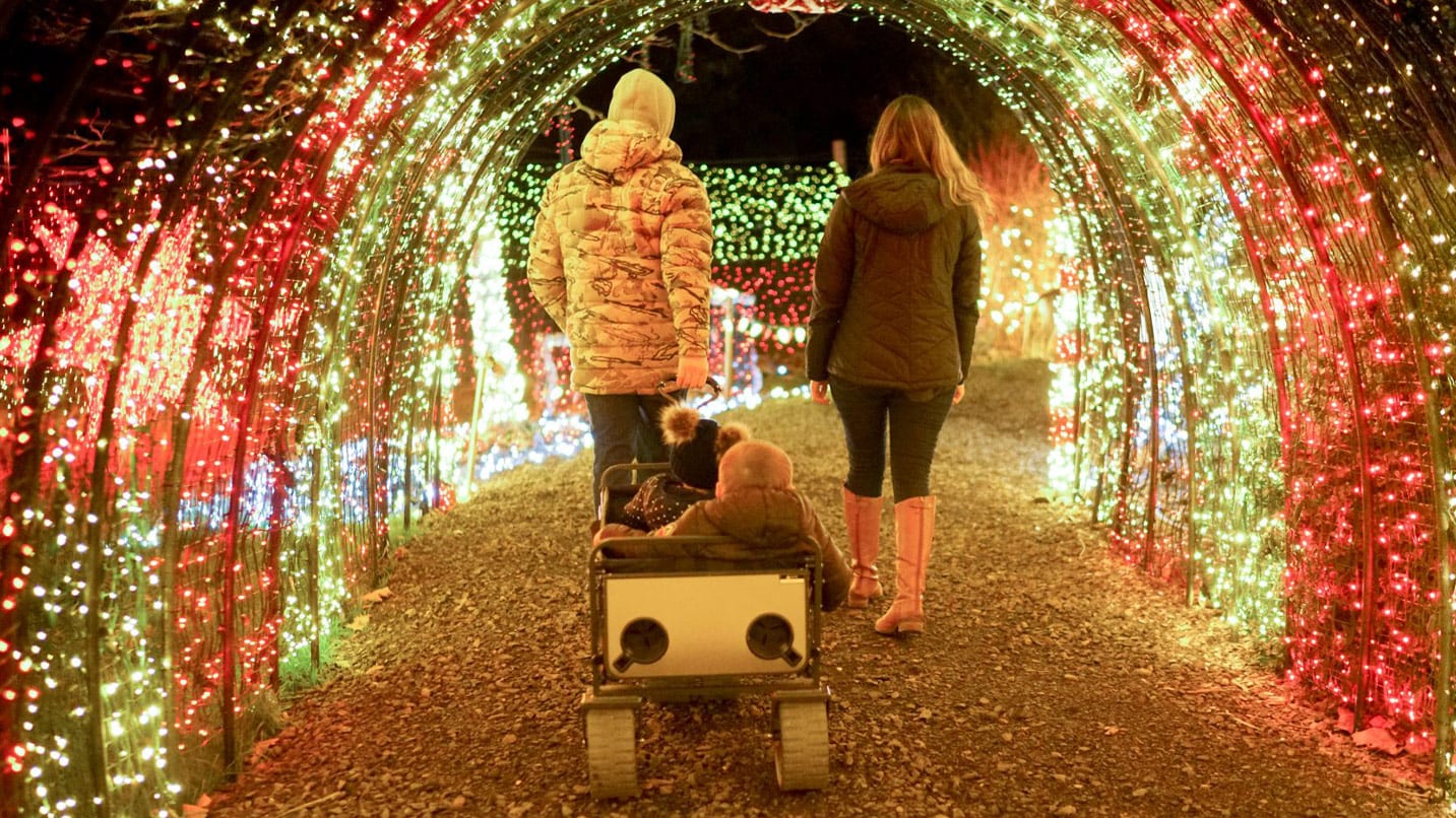 Two adults pull a wagon of two small children through an illuminated tunnel.